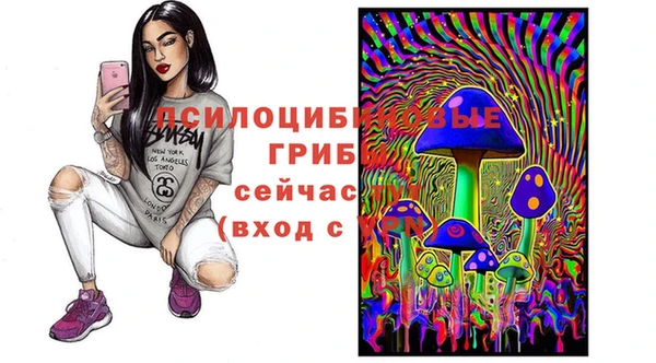 прущая мука Волоколамск