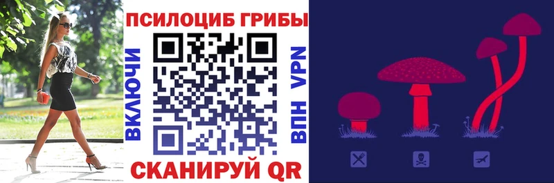 Псилоцибиновые грибы прущие грибы  как найти наркотики  Заводоуковск 